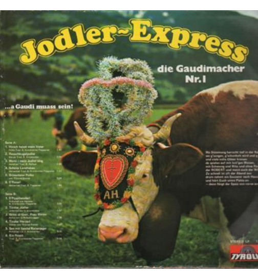 Jodler-Express Wast & Robert - ... a Gaudi muass sein