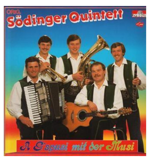 Orig. Sdinger Quintett - A Gspusi mit der Musi