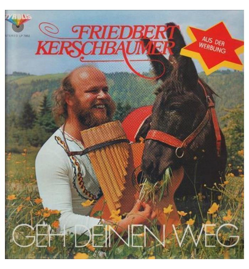 Friedbert Kerschbaumer - Geh deinen Weg