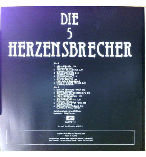 Die 5 Herzensbrecher - Musik ist unsere Freude